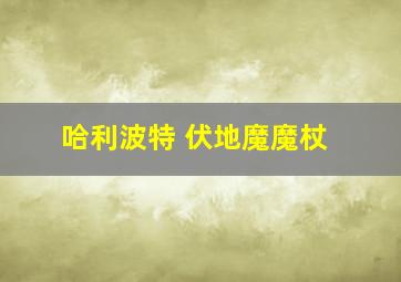 哈利波特 伏地魔魔杖